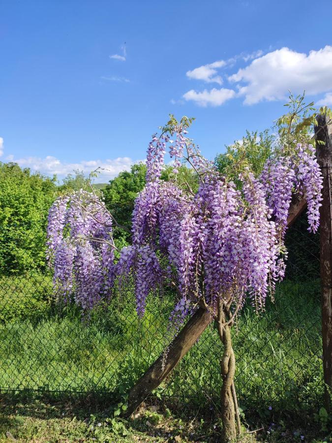 Podere Verdi Colline Poppi Eksteriør bilde
